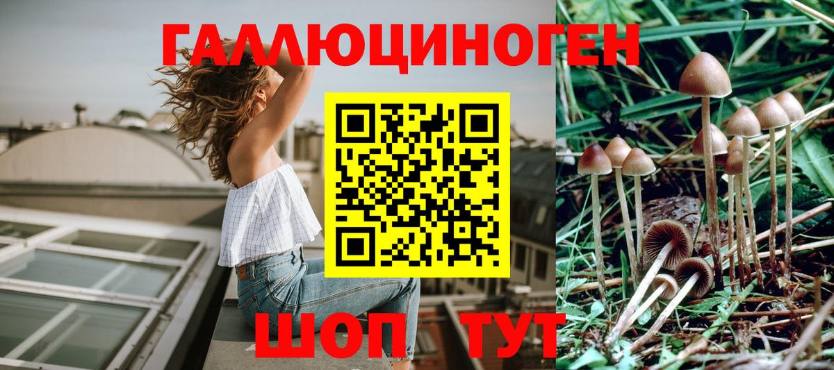 Галлюциногенные грибы Psilocybine cubensis  Вход с VPN  Когалым 